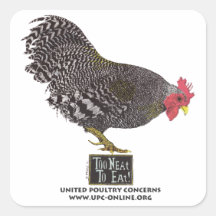 Trop Belle Pour Manger ! - Rooster