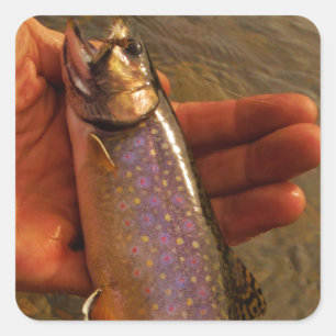 Sticker Carré Trout à Hands