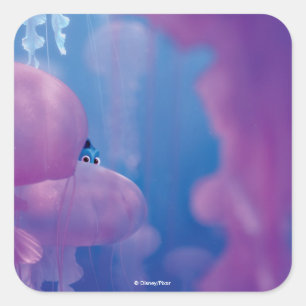 Sticker Carré Trouver Dory   Cacher et rechercher - Méduses