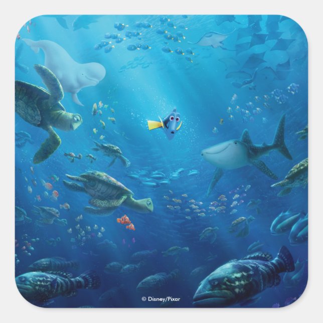 Sticker Carré Trouver Dory | Poster (Devant)