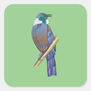 Sticker Carré Tui New Zealand Bird