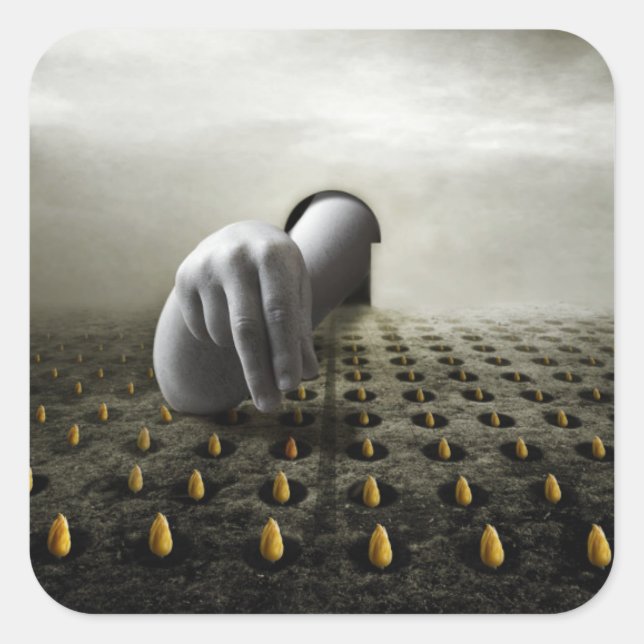 Sticker Carré Tulip voleur 2013 (Devant)