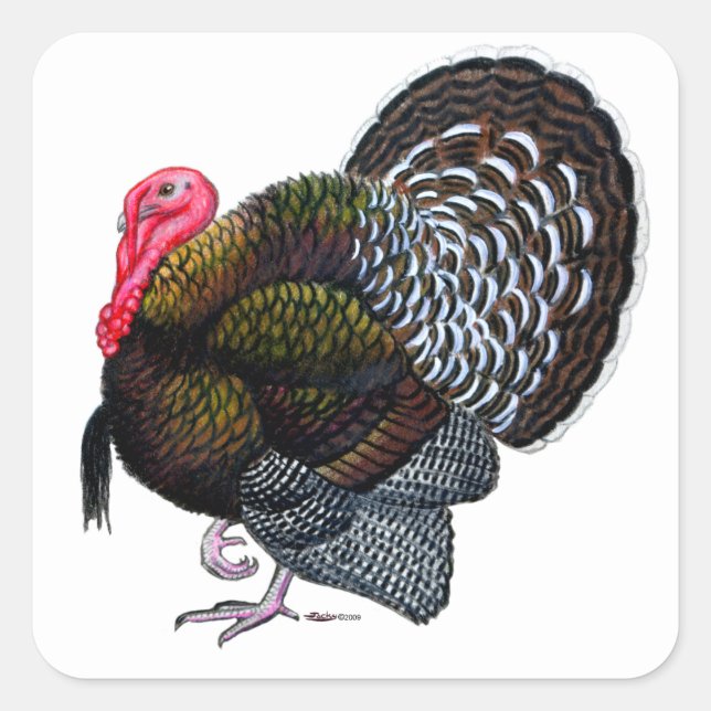 Sticker Carré Turquie : Tom en bronze (Devant)