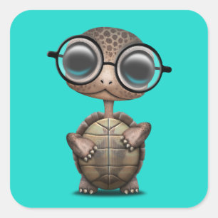 Sticker Carré Turtle Nerdy mignonne portant des lunettes