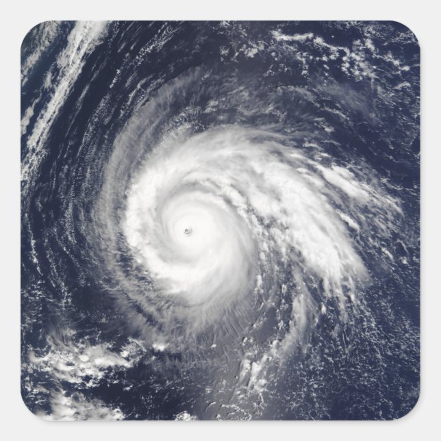 Sticker Carré Typhon Higos (Devant)