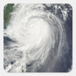 Sticker Carré Typhon Jangmi