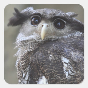 Sticker Carré Ueno, Taitoh-ku, Tokyo, Japon 2