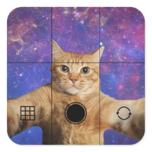 Un chat Tabby Rouge prend un selfie dans l'espace