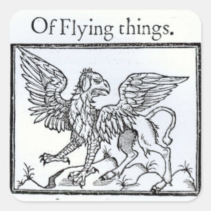 Sticker Carré Un griffon