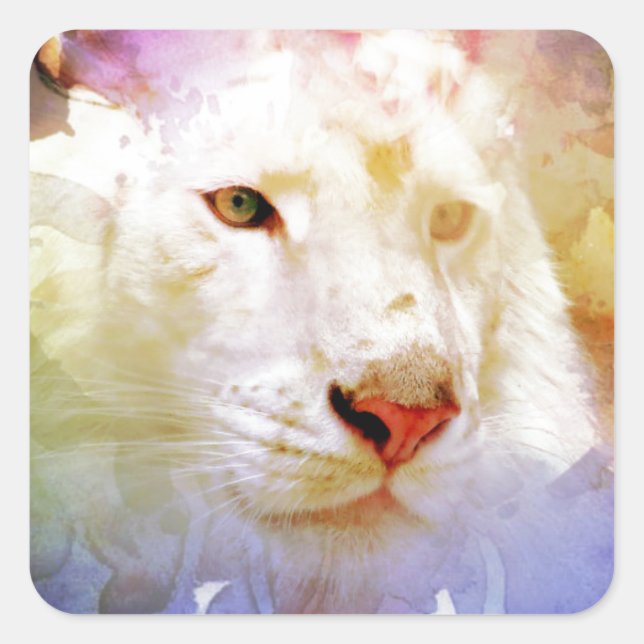 Sticker Carré Un gros chat dans un champ de grunge floral (Devant)