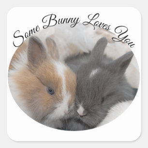 Sticker Carré Un Lapin T'Aime