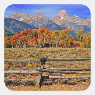 Sticker Carré Un moment au Wyoming en automne