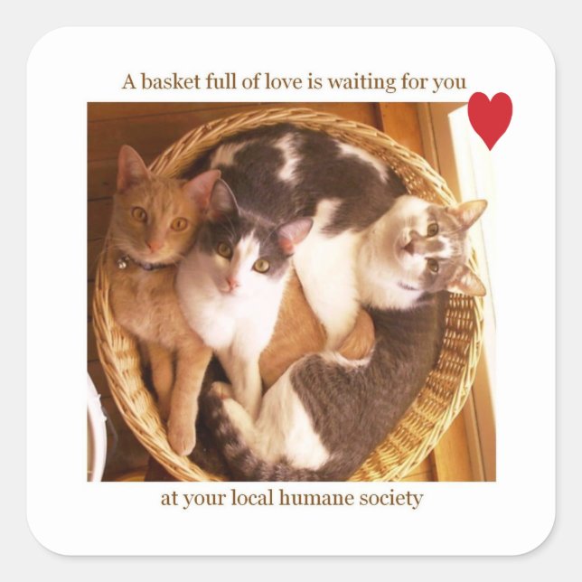 Sticker Carré Un panier plein d'amour vous attend #2... (Devant)