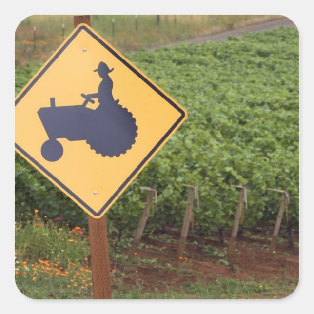 Sticker Carré Un tracteur jaune qui traverse le vignoble (Devant)