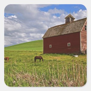 Sticker Carré Une balade à travers le pays agricole de Palouse 3