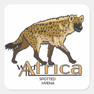 Sticker Carré Une hyène tachetée. Afrique sauvage