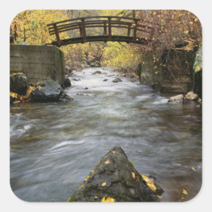Sticker Carré Une rivière fonctionnant par le canyon américain