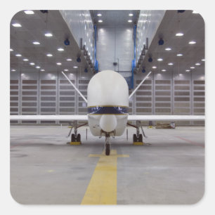 Sticker Carré Une vue de face d'un faucon global a touché des