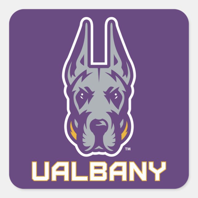 Sticker Carré Université d'Albany Great Danes (Devant)
