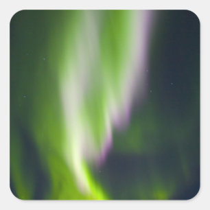 Sticker Carré USA, Alaska, Chena Hot Springs. Aurora Borealis