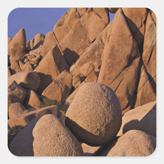 Sticker Carré USA, Californie, Parc national de Joshua Tree. (Devant)