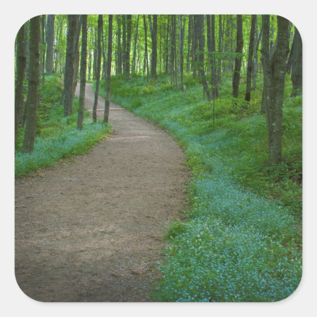 Sticker Carré USA, Michigan. Chemin de Miner's Falls (Devant)