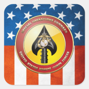 Sticker Carré USMC Opérations spéciales (MARSOC) [3D]