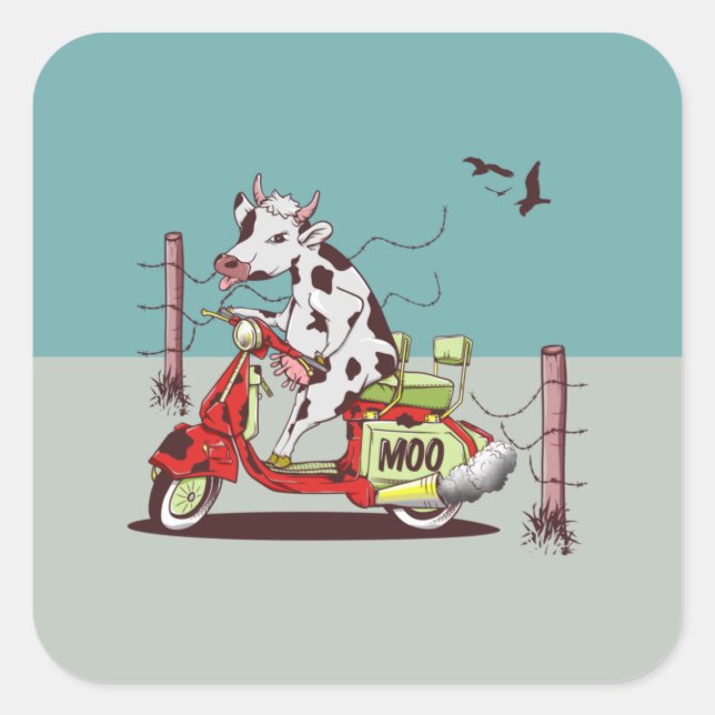 Sticker Carré Vache à vélo (Devant)