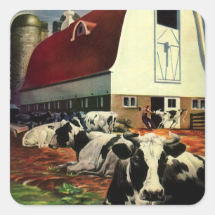 Sticker Carré Vaches laitières Holstein vintage dans l'entrepris