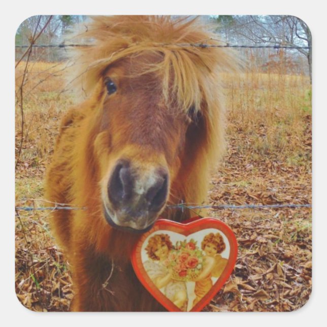 Sticker Carré Valentine Heart Miniature Brown Horse (Devant)