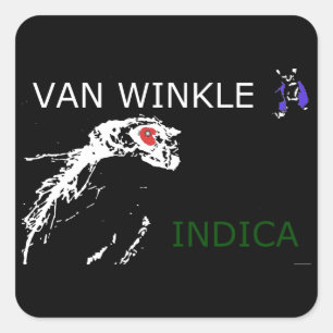 STICKER CARRÉ VAN WINKLE INDICA
