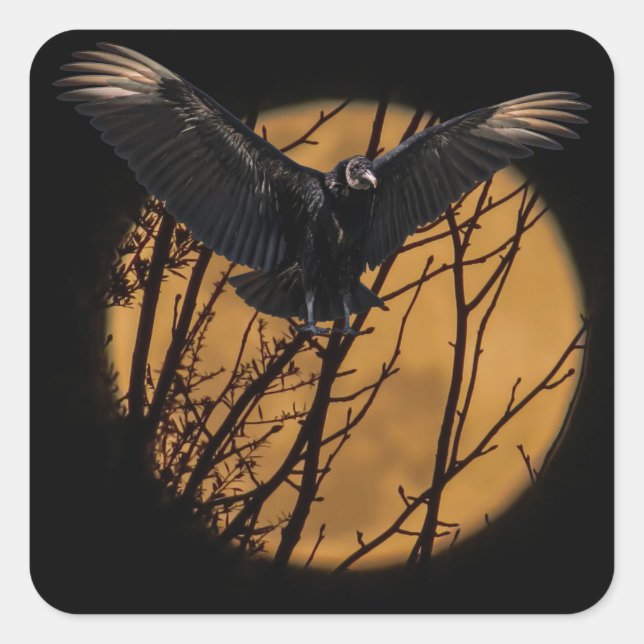 Sticker Carré Vautour noir à pleine lune Halloween (Devant)