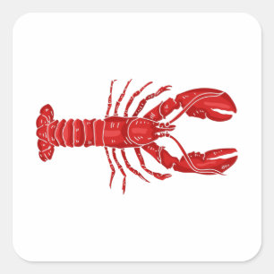 Sticker Carré Vecteur de homard