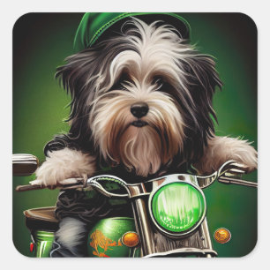 Sticker Carré Vélo de conduite de chien Havanais St. Patrick's D