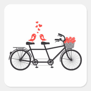 Sticker Carré vélo tandem avec de mignons inséparables