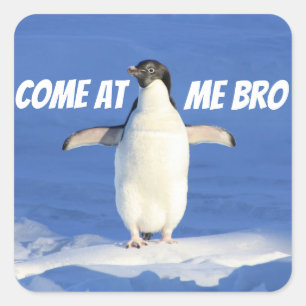 Sticker Carré Venez à Me Bro Meme Penguin