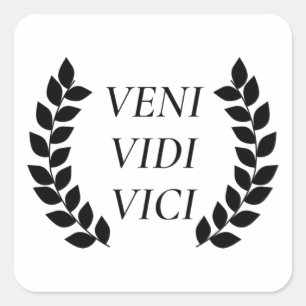 Sticker Carré Veni Vidi Vici
