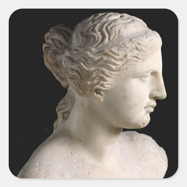 Sticker Carré Venus de Milo (Devant)