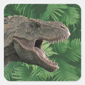 Sticker Carré Véritable dinosaure T-Rex