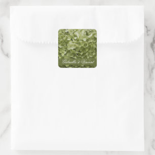 Sticker Carré Vert Annabelle Hydrangea Mariage Floral