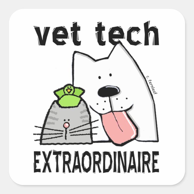 Sticker Carré Vet Tech Extraordinaire (Devant)