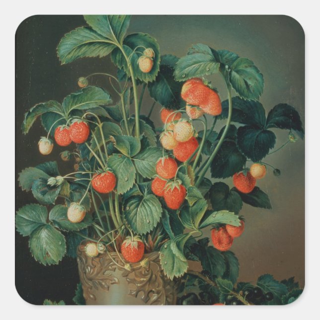 Sticker Carré Vie morte avec fraises (Devant)