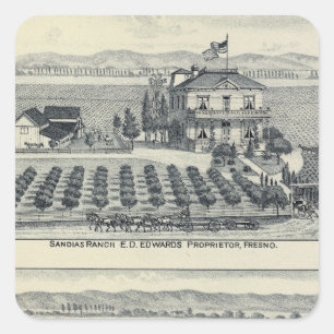 Sticker Carré Vignoble de rangée de haie, Fresno