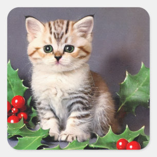 Sticker Carré Vintage Christmas Kitten et Holly