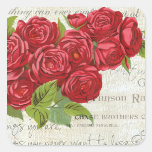 Sticker Carré Vintage Rose Love Flower Valentine