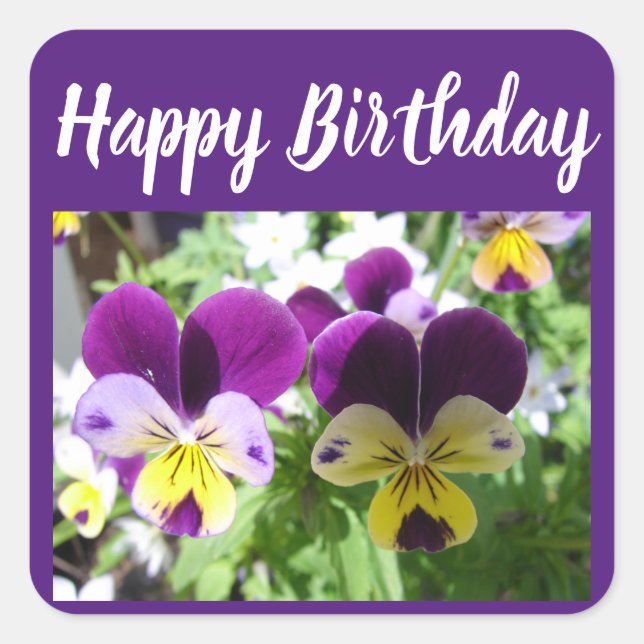 Sticker Carré Viola violet Pansy Jolie carte fleurie (Devant)