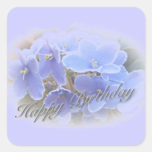 Sticker Carré Violettes africaines bleues