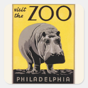 Sticker Carré Visiter Le Zoo