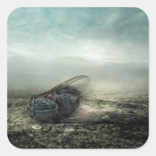 Sticker Carré Vol 2013