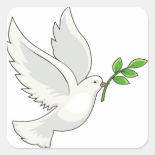 Sticker Carré Vol de colombe avec une branche dans sa bouche